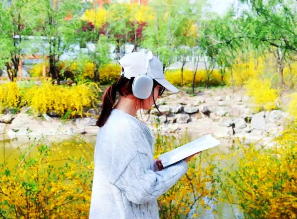 大学生活：快乐、学习与成长之旅
