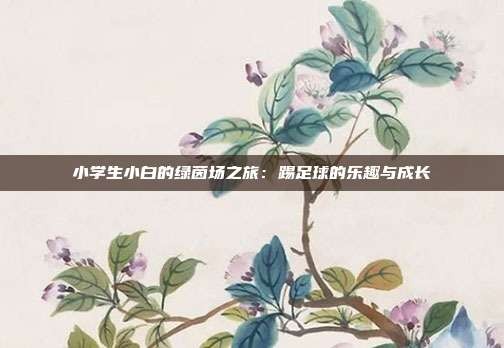 小学生小白的绿茵场之旅：踢足球的乐趣与成长