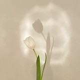 生活如电台