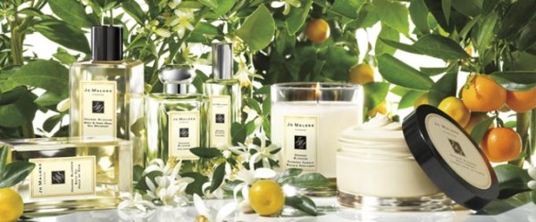 Orange Blossom