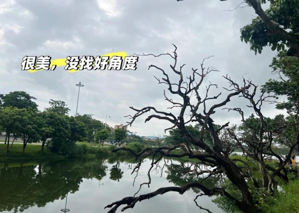 首尔东庙跳蚤市场：淘二手古着与美食攻略
