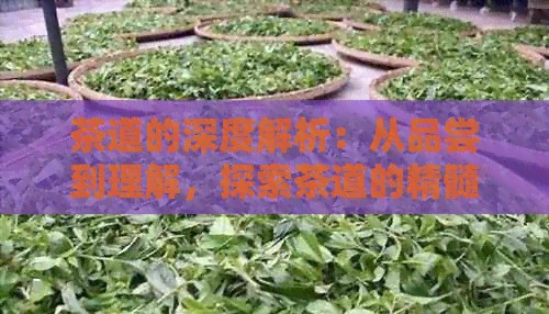 茶道的深度解析：从品尝到理解，探索茶道的精髓与内涵