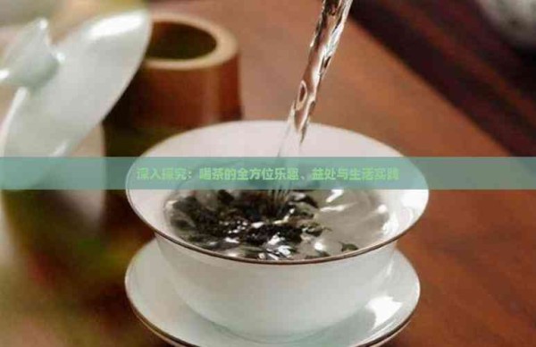 深入探究：喝茶的全方位乐趣、益处与<a target=