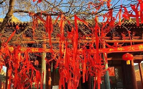 快乐的节日三年级作文（通用16篇）