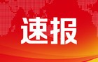 重磅！特朗普，突然宣布！集体飙涨！