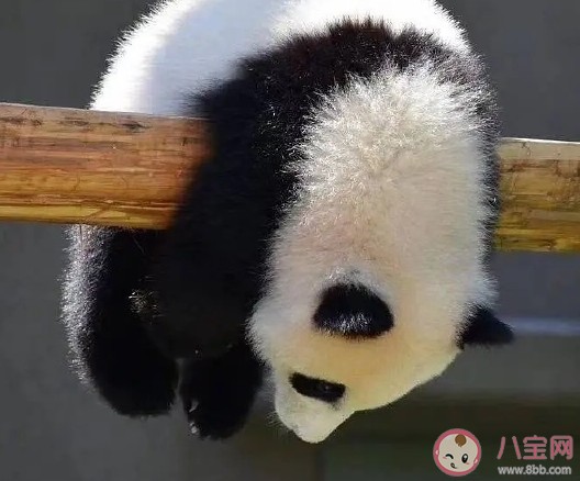 又到周末了怎么发朋友圈 周末美好时光开心简短句子