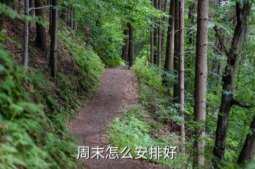 周末怎么安排好