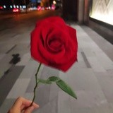 锄禾