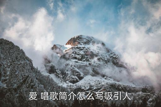 爱 唱歌简介怎么写吸引人