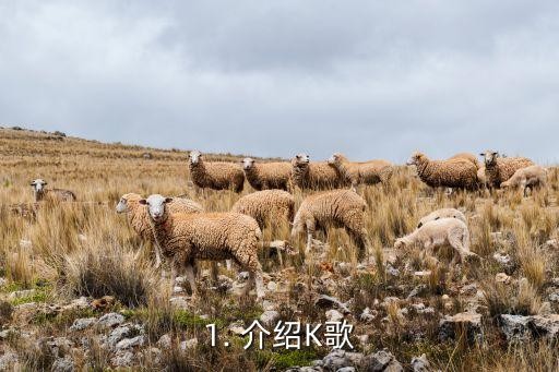 1. 介绍K歌