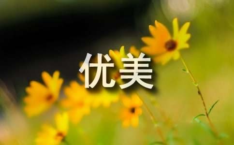 关于<a target=
