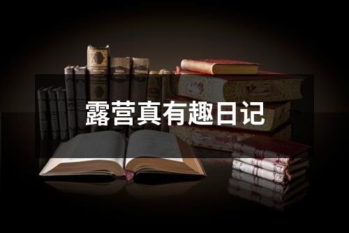 露营真有趣日记
