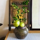 熠品逸茶<a target=