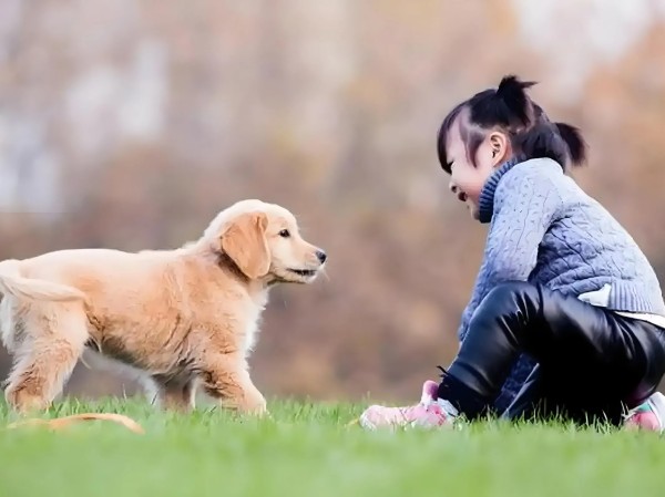 本格分享：揭秘养狗带来的五大生活乐趣
 1. 清晨活力剂：每天破晓，狗狗会欢快地跳上床，用湿漉漉的鼻子触碰你，将睡眼惺忪的你瞬间唤醒，让你以饱满精神迎接新一天。

2. 户外探索伙伴：出门遛弯，狗狗拉着你探索每一个角落，路边的花草、飞舞的蝴蝶都能让它兴奋不已，你也随之重新发现身边被忽略的美好。

3. 心灵治愈师：当你疲惫或沮丧，狗狗安静地趴在脚边，用无邪的眼睛望着你，毛茸茸的身体依偎过来，那一刻...