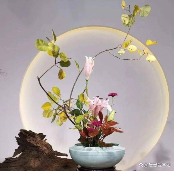 插花艺术的魅力：从花束到生活美学