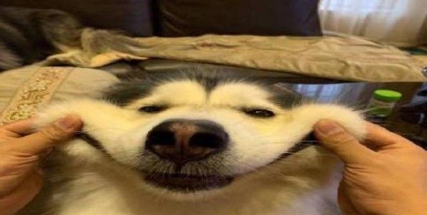 人生努力让自己快乐起来，创造一个属于自己的快乐源泉