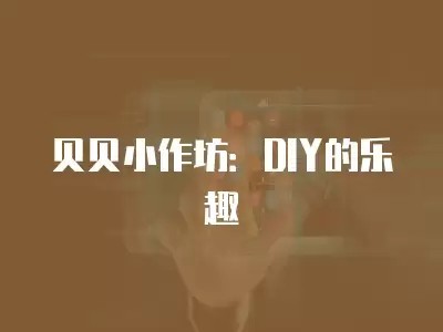 贝贝小作坊：DIY的乐趣