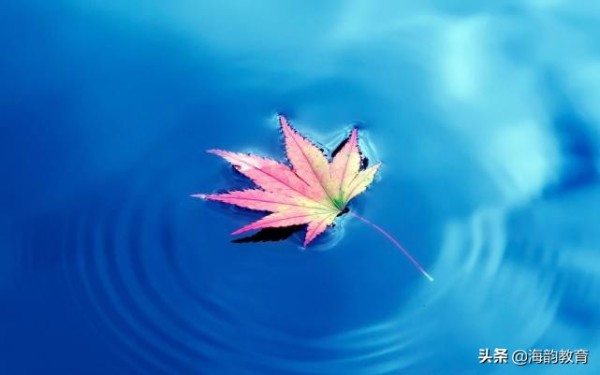 海韵教育丨为什么现在<a target=