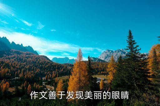 作文善于发现美丽的眼睛