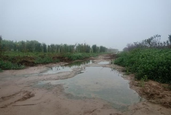 让人生充满快乐的10个方法，不用花钱，也可以做到！