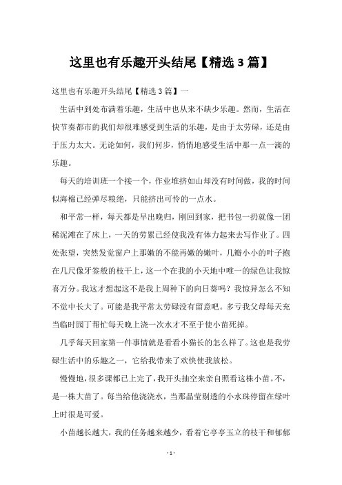 这里也有乐趣开头结尾【3篇】