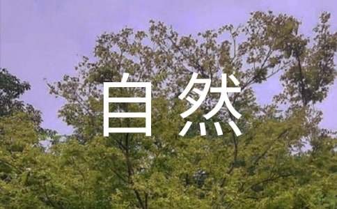 走进大自然作文600字（精选30篇）