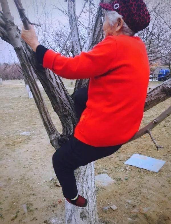 在大自然中寻找心灵的宁静与快乐