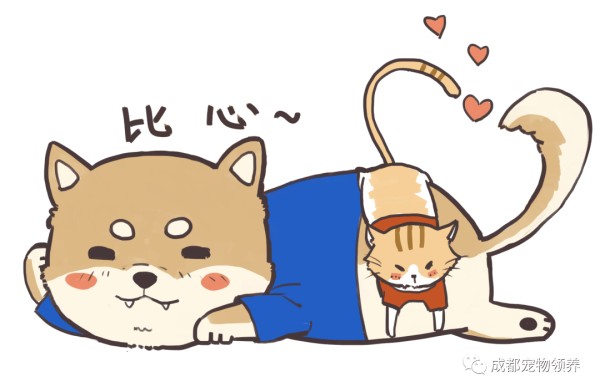 我们与爱宠的美好陪伴：宠物<a target=