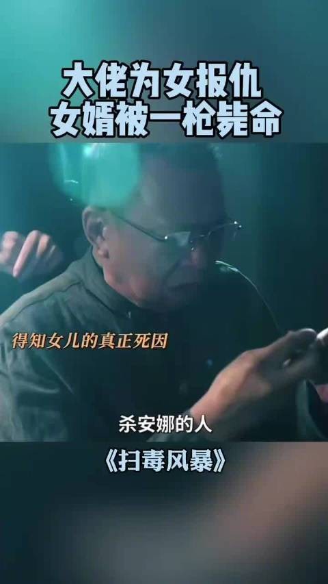 大佬为女报仇，女婿被一枪毙命，上位者老了还是上位者，@吴晓亮