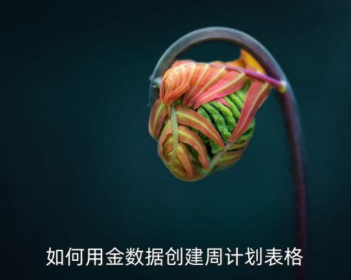 如何用金数据创建周计划表格