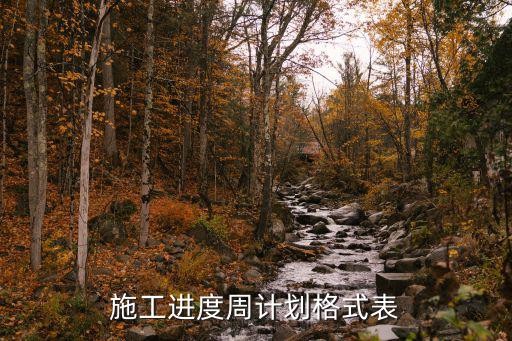 施工进度周计划格式表