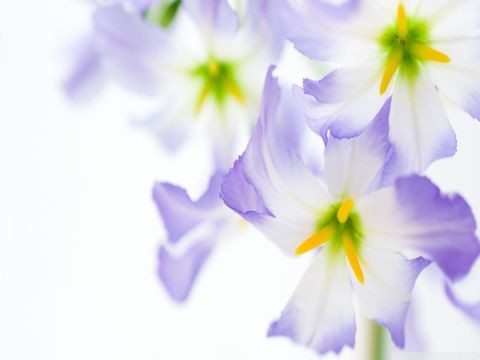 五一劳动节朋友圈祝福语 幸福藏在心里，快乐盈满<a target=