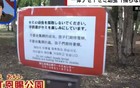 中国人在日本东京公园大量捕捉蝉幼虫，引当地人反感