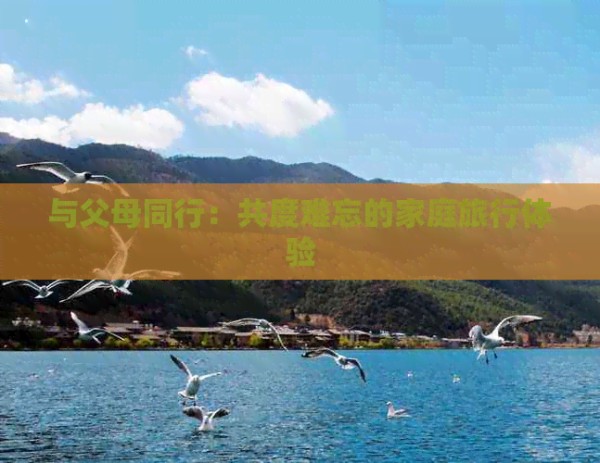 与父母同行：共度难忘的家庭旅行体验