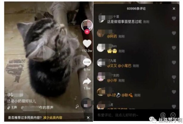 短视频怎么做好选题？做好短视频选题的技巧和方法！-第7张图片-星辰资源网-专注分享网络精品资源平台,免费软件,活动线报,网站源码,QQ技术,星辰教程网,小刀娱乐网