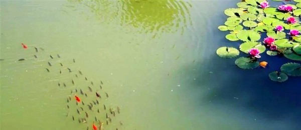 找到快乐生活的20个秘诀，从心态到行动的全面解读