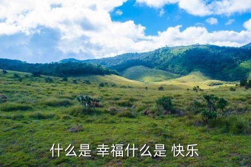 幸福快乐,幸福与快乐的区别