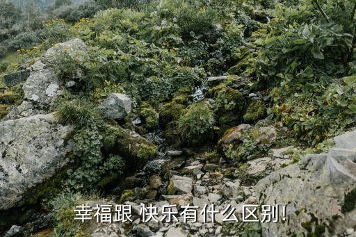  幸福跟 快乐有什么区别!
