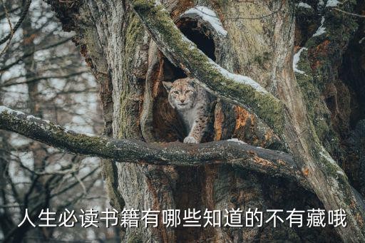 人生必读书籍有哪些知道的不有藏哦