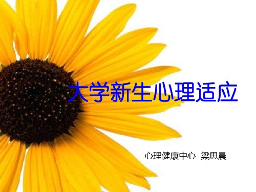 大学生心理健康教育(适应心理)