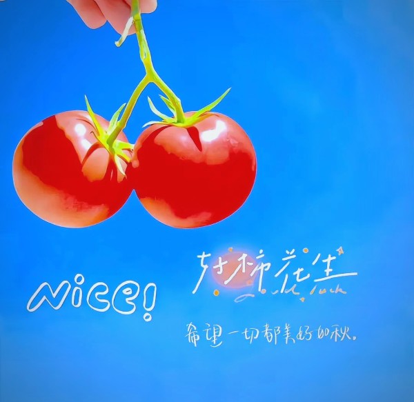 图片0