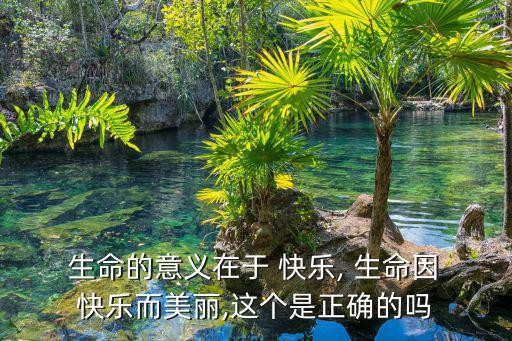  生命的意义在于 快乐, 生命因 快乐而美丽,这个是正确的吗