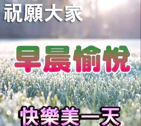 图片7