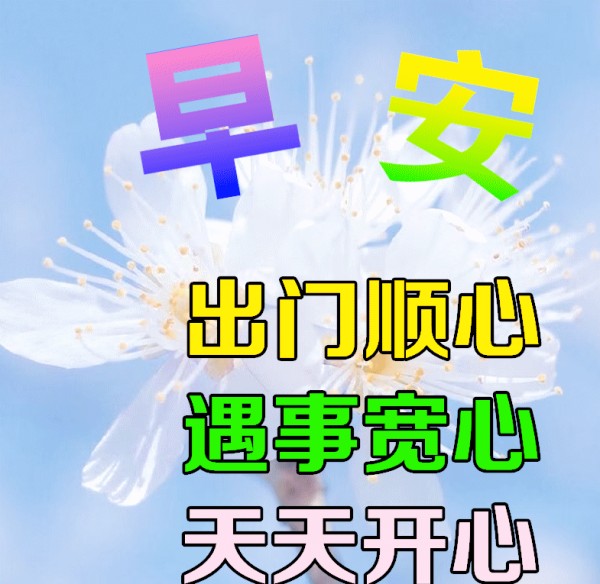 图片8