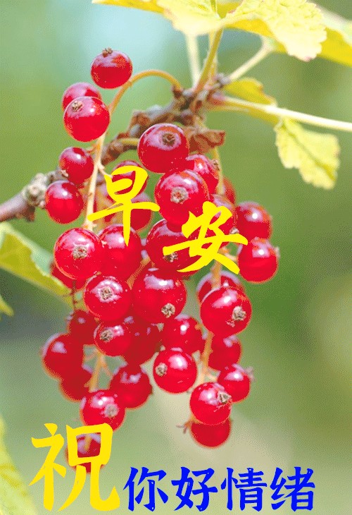 图片10