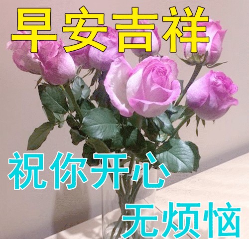图片9