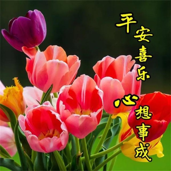 生活并不复杂，只需要简简单单地过好每一天