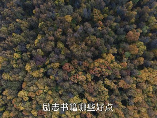 励志书籍哪些好点