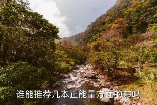 谁能推荐几本正能量方面的书吗