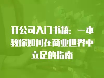 开公司入门书籍：一本教你如何在商业世界中立足的指南